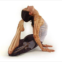 Photo of someone posing with a skeletal overlay